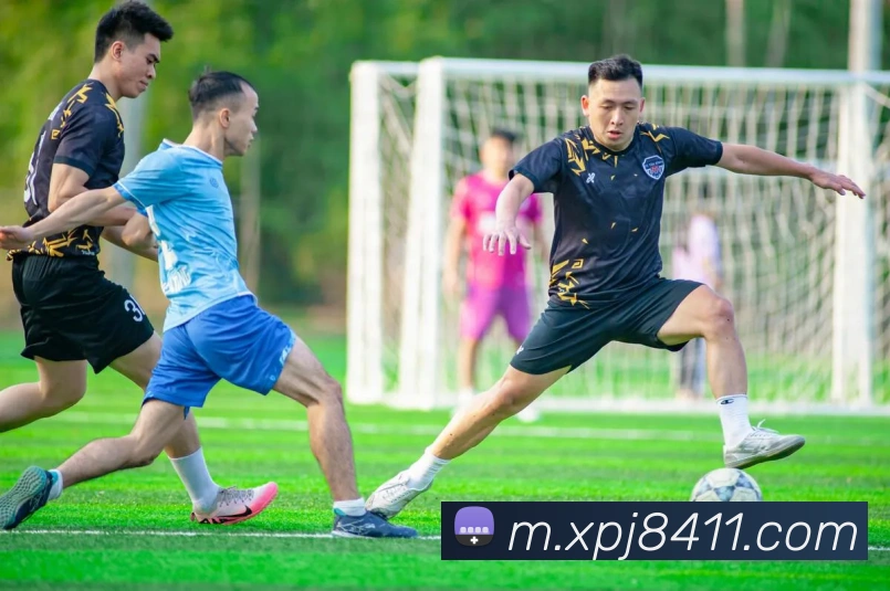 App Interface Preview