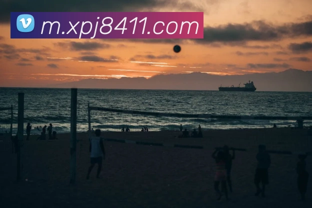 澳门新葡京网站APP 封面图